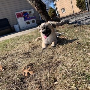 Meet your Posher, Eric